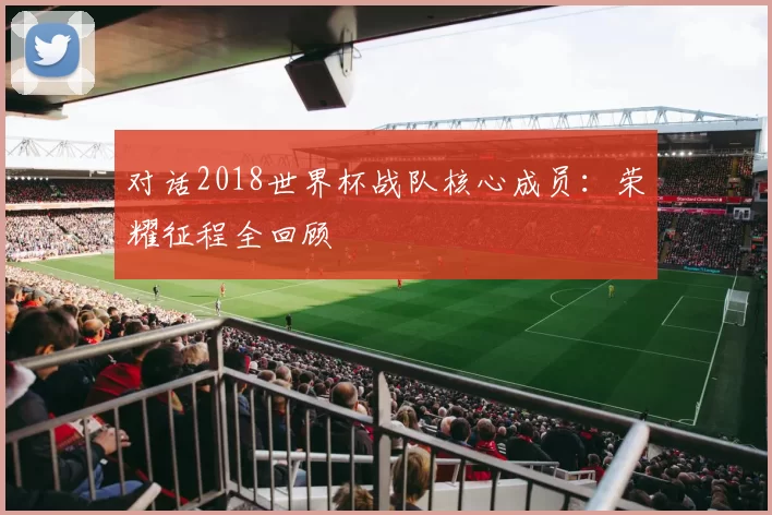 对话2018世界杯战队核心成员：荣耀征程全回顾