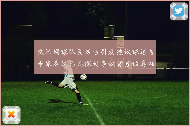 武汉网球队灵活性引发热议球迷与专家各执己见探讨争议背后的真相
