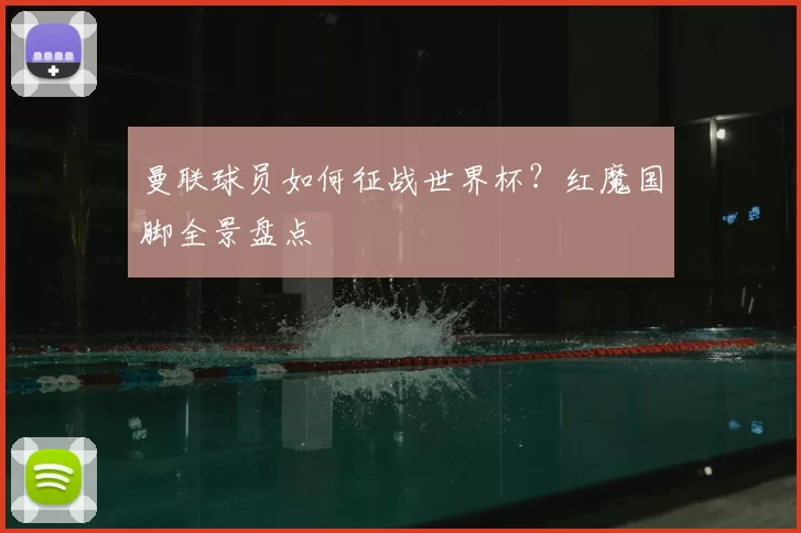 曼联球员如何征战世界杯?红魔国脚全景盘点