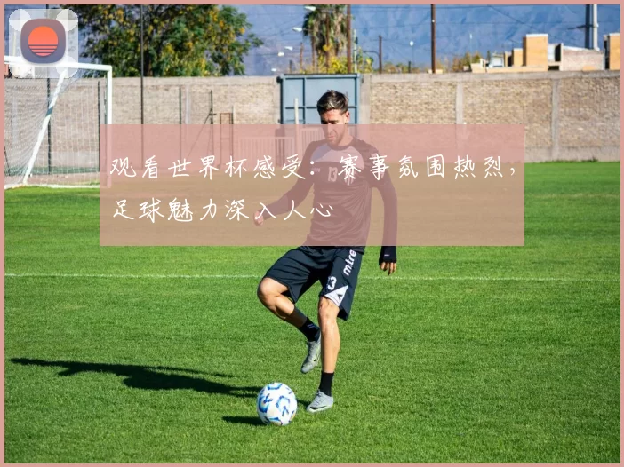 观看世界杯感受：赛事氛围热烈，足球魅力深入人心