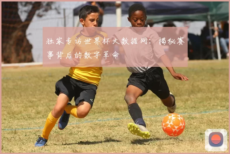 独家专访世界杯大数据网：揭秘赛事背后的数字革命