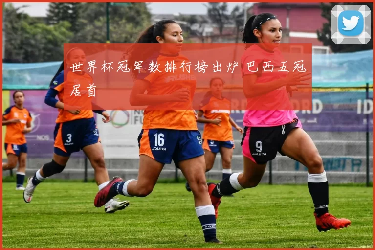 世界杯冠军数排行榜出炉 巴西五冠居首