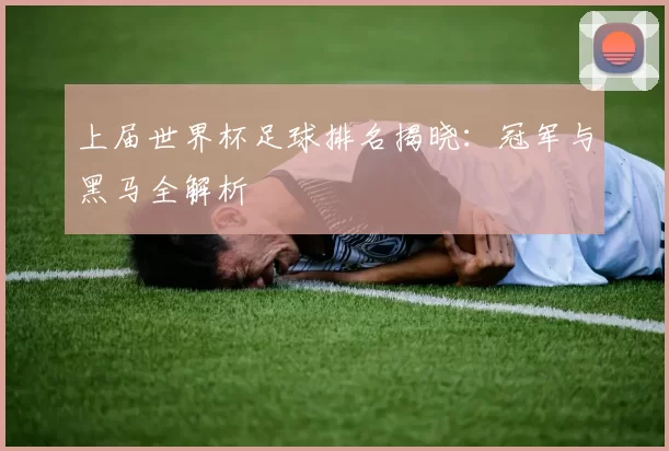 上届世界杯足球排名揭晓:冠军与黑马全解析