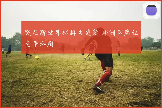 突尼斯世界杯排名更新 非洲区席位竞争加剧