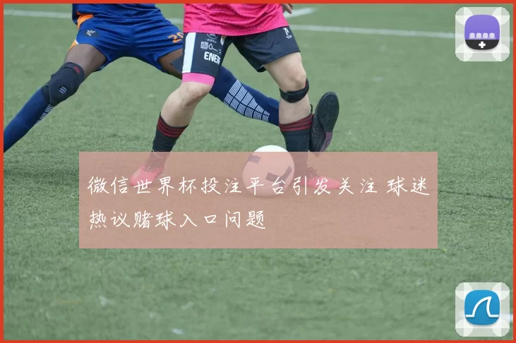 微信世界杯投注平台引发关注 球迷热议赌球入口问题