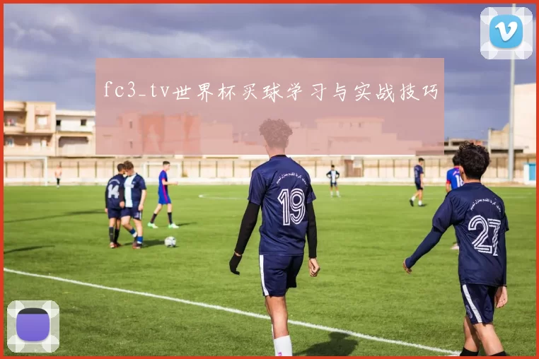 fc3_tv世界杯买球学习与实战技巧
