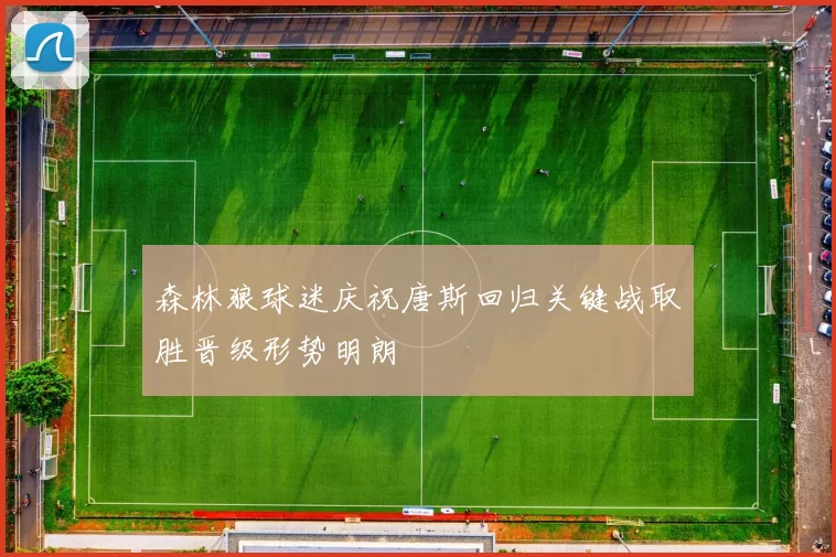 森林狼球迷庆祝唐斯回归关键战取胜晋级形势明朗