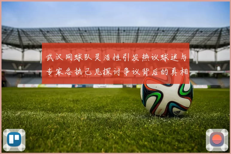 武汉网球队灵活性引发热议球迷与专家各执己见探讨争议背后的真相
