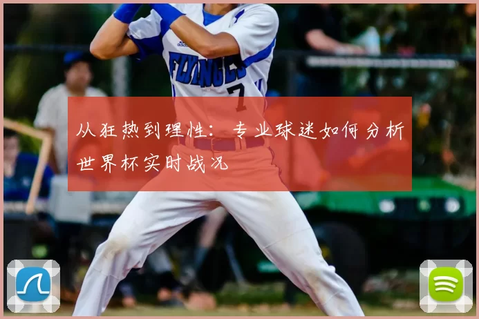 从狂热到理性：专业球迷如何分析世界杯实时战况