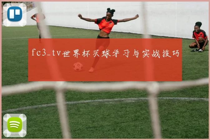fc3_tv世界杯买球学习与实战技巧