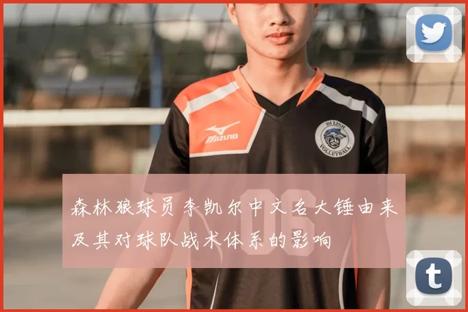 森林狼球员李凯尔中文名大锤由来及其对球队战术体系的影响