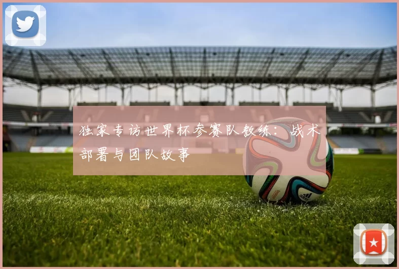 独家专访世界杯参赛队教练：战术部署与团队故事