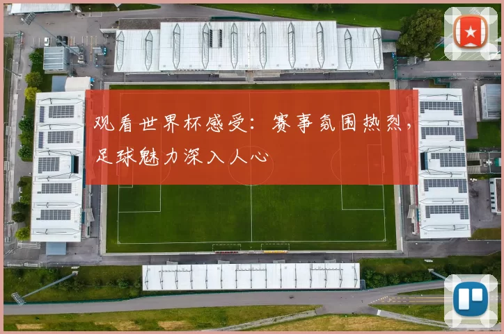 观看世界杯感受：赛事氛围热烈，足球魅力深入人心