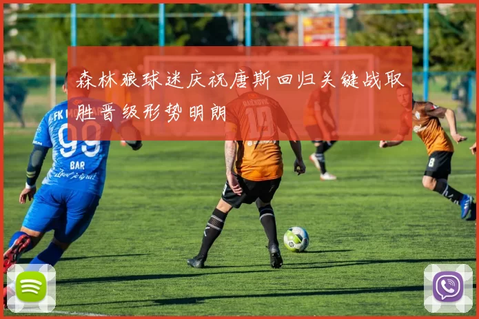 森林狼球迷庆祝唐斯回归关键战取胜晋级形势明朗