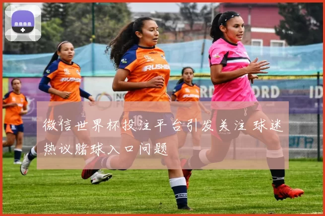 微信世界杯投注平台引发关注 球迷热议赌球入口问题