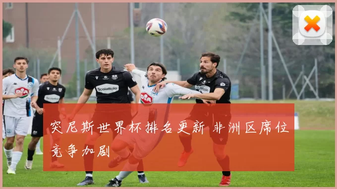 突尼斯世界杯排名更新 非洲区席位竞争加剧
