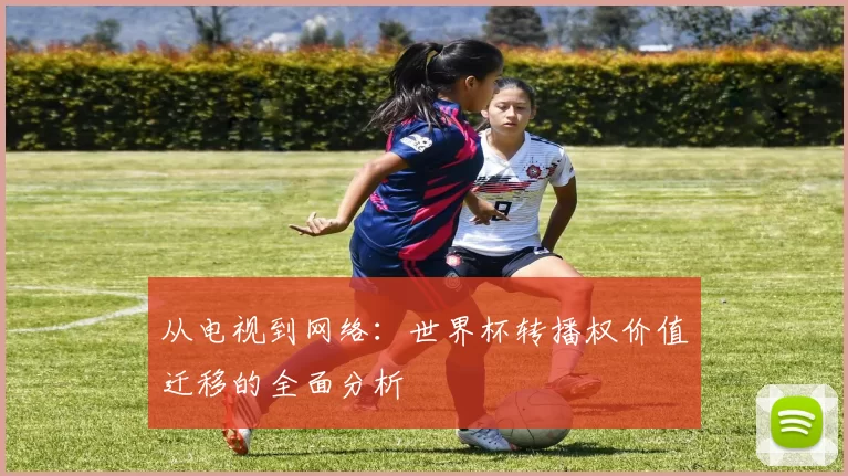 从电视到网络：世界杯转播权价值迁移的全面分析
